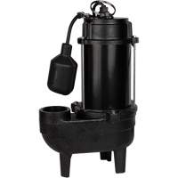 Cast Iron Sewage Pump, 120 V, 10 A, 6400 GPH, 3/4 HP Ottawa Fastener Supply