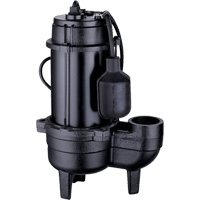 Cast Iron Sewage Pump, 120 V, 10 A, 6400 GPH, 3/4 HP DC849 | Ottawa Fastener Supply