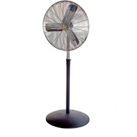 Pedestal Fans
