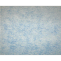 Filtres en m&eacute;dias synth&eacute;tiques &agrave; arrestance &eacute;lev&eacute;e, Tampon, MERV 5, 24" la x 2" p x 12" h Ottawa Fastener Supply