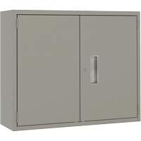 Wall Mounted Cabinet, Steel, 2 Shelves, 30" H x 36" W x 12" D, Grey Ottawa Fastener Supply