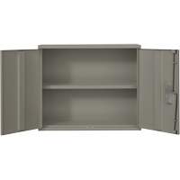 Wall Mounted Cabinet, Steel, 2 Shelves, 30" H x 36" W x 12" D, Grey Ottawa Fastener Supply