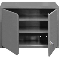 Wall-Mounted Cabinet, 27" H x 29-7/8" W x 13-11/16" D, 2 Shelves, Steel, Grey FL992 | Ottawa Fastener Supply