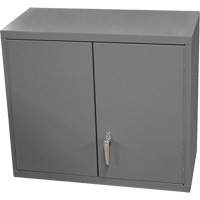 Armoire murale, 27" h x 13-11/16" la x 35-7/8" p, 2 tablettes, Acier, Gris Ottawa Fastener Supply