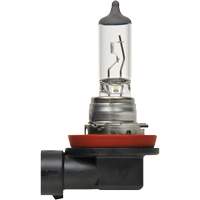 H8 Basic Headlight Bulb FLT984 | Ottawa Fastener Supply