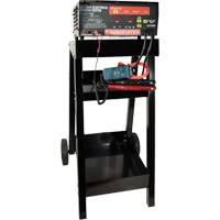 Automatic Battery & Electrical System Tester with Cart Ottawa Fastener Supply