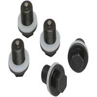 Set of 5 Plugs & Gaskets  Ottawa Fastener Supply