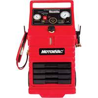 CarbonClean 245 Gasoline Engine System Ottawa Fastener Supply