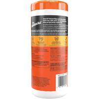 Original Protectant Wipes Ottawa Fastener Supply