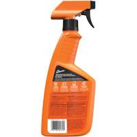 Multi-Purpose Auto Cleaner, 16 oz./473 ml, Trigger Bottle Ottawa Fastener Supply