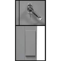 Armoire de rangement &agrave; hauteur de comptoir, Acier, 2 Tablettes, 42" h x 48" la x 24" P, Gris Ottawa Fastener Supply