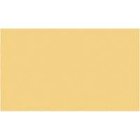 Cales minces chromocod&eacute;es en plastique Ottawa Fastener Supply