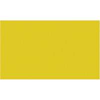 Cales minces chromocod&eacute;es en plastique Ottawa Fastener Supply