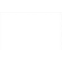 Cales minces chromocod&eacute;es en plastique Ottawa Fastener Supply