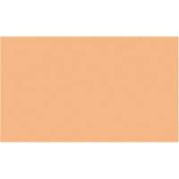 Cales minces chromocod&eacute;es en plastique Ottawa Fastener Supply