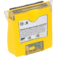 BW™ GasAlertQuattro Multi-Gas Detectors HX902 | Ottawa Fastener Supply