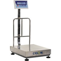 Cyclone 300 Bench and Platform Scale, 600 lbs. / 300 kg Capacity, 17-3/4" L x 23-3/5" W Ottawa Fastener Supply