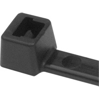 PA66 Cable Ties, 5-1/2" Long, 18 lbs. Tensile Strength, Black Ottawa Fastener Supply