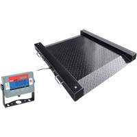 DEFENDER Floor Scale, 1000 lbs. Capacity, 30" L x 30" W Ottawa Fastener Supply