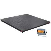DEFENDER 3000 Floor Scale, 2500 lbs. Capacity, 48" W x 48" L Ottawa Fastener Supply