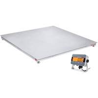 DEFENDER 3000 Floor Scale, 2500 lbs. Capacity, 48" W x 48" L Ottawa Fastener Supply