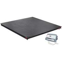 DEFENDER 5000 Floor Scale, 2500 lbs. Capacity, 48" W x 48" L Ottawa Fastener Supply
