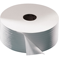 Advanced Toilet Paper, Jumbo Roll, 2 Ply, 1600' Length, White JA878 | Ottawa Fastener Supply
