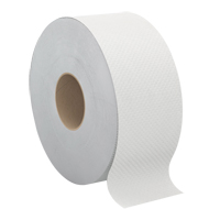 Papier hygi&eacute;nique Pro Select, Rouleau G&eacute;ant, 2 Pli, Longueur 500', Blanc Ottawa Fastener Supply