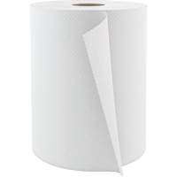 Pro Select Hardwound Hand Towels, 1 Ply, Standard, 600' L Ottawa Fastener Supply