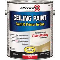 Peinture et appr&ecirc;t pour plafond en un seul produit, Blanc, Tr&egrave;s mat, 3,78 L, Gallon Ottawa Fastener Supply