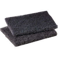 Tampon de polissage pour plaque de cuisson Scotch-Brite, 4" lo x 5" la Ottawa Fastener Supply