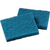 Non-Stick Cookware Cleaning Pad, Scrubbing, 5-1/4" W x 4" L Ottawa Fastener Supply