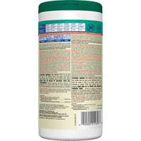 Disinfecting Wipes, 75 Count Ottawa Fastener Supply