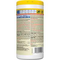 Disinfecting Wipes, 75 Count Ottawa Fastener Supply