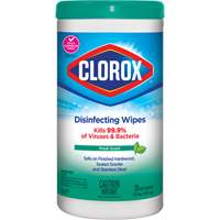Disinfecting Wipes, 75 Count Ottawa Fastener Supply
