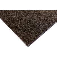 Palliser Indoor Matting, Wiper/Scraper, 3-1/2' x 6' x 5/16", Anglis Ottawa Fastener Supply
