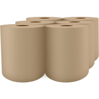 Pro Select&reg; High-Capacity Paper Towel, 1 Ply, Standard, 1000' L Ottawa Fastener Supply