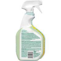 Nettoyant d&eacute;sinfectant CloroxPro Clorox EcoClean, 946 ml, Bouteille &agrave; g&acirc;chette Ottawa Fastener Supply