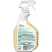 CloroxPro Clorox EcoClean All-Purpose Cleaner, 946 ml, Trigger Bottle Ottawa Fastener Supply