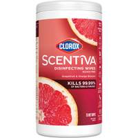 Lingettes d&eacute;sinfectantes, 75 lingettes Ottawa Fastener Supply