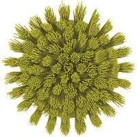 HyDrive Round Drill Brush, Extra Stiff Bristles, 3-1/10" Long, Yellow Ottawa Fastener Supply