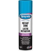 Brillant instantan&eacute; Pro Line pour surfaces en plastique, 11 oz, Canette a&eacute;rosol Ottawa Fastener Supply