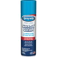 Nettoyant tout usage Pro Line Crazy Clean, 19 oz., Canette a&eacute;rosol Ottawa Fastener Supply