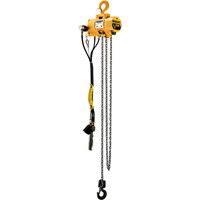Budgit&reg; Air Chain Hoists Ottawa Fastener Supply