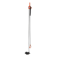 Mini Lever Hoist, 15' Lift, 1000 lbs. (0.5 tons) Capacity, Steel Chain Ottawa Fastener Supply