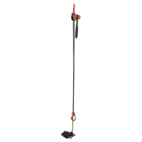 Mini Lever Hoist, 20' Lift, 1000 lbs. (0.5 tons) Capacity, Steel Chain Ottawa Fastener Supply
