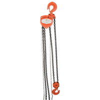 Chain Hoist, 20' Lift, 4000 lbs. (2 tons) Capacity, Alloy Steel Chain LU583 | Ottawa Fastener Supply