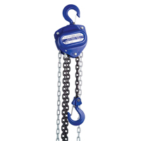 Chain Hoist, 10' Lift, 2000 lbs. (1 tons) Capacity, Load Chain Grade 80 Chain LU646 | Ottawa Fastener Supply