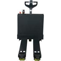 Fully Powered Electric Pallet Truck, 4500 lbs. Cap., 48" L x 30.25" W Ottawa Fastener Supply