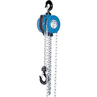 Tralift&reg; Manual Chain Hoist, 10' Lift, 4000 lbs. (2 tons) Capacity, Grade 80 Chain Ottawa Fastener Supply